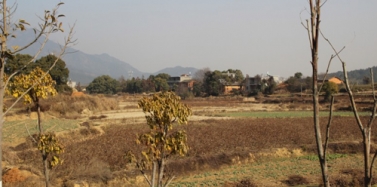 【江西】江西星子縣特色溫泉小鎮項目合同簽訂及前期考察順利結束