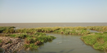 【浙江】浙江萬(wàn)翔集團(tuán)湖州長(zhǎng)兜項(xiàng)目前期現(xiàn)場(chǎng)踏勘順利結(jié)束