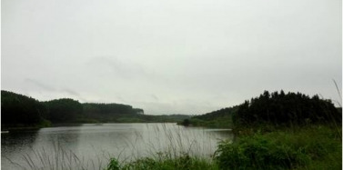 【廣西】國奧集團世界旅游城項目概念性規劃合同簽訂，前期現場踏勘順利結束