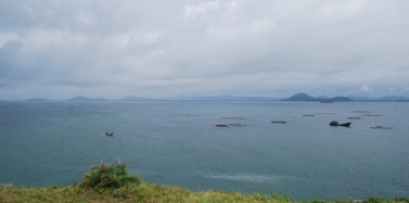 【廣東】陽江沙扒灣海天度假邨項目前期考察順利結束