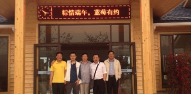 【山東】青島藏馬山藍莓園與生態餐廳正式開業