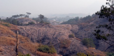 追隨艾肯，走進白堊紀（二）