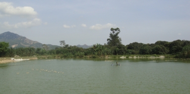 【福建】福建漳浦萬安項目策劃規劃合同簽訂及前期考察結束