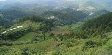 【湖北】鄖縣萬綠湖項目前期考察順利結束