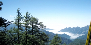 【陜西】太白山國際旅游度假區(qū)項目前期匯報圓滿結(jié)束