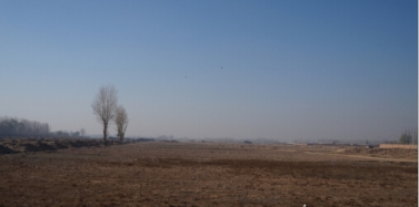 【內(nèi)蒙古】內(nèi)蒙古巴美肉羊項目前期考察順利結(jié)束