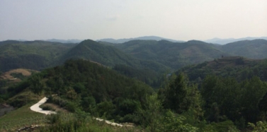 【湖北】十堰鄖縣萬綠湖項目策劃規劃合同簽訂