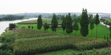 【四川】黃龍溪世界文化產(chǎn)業(yè)園項(xiàng)目前期考察順利結(jié)束