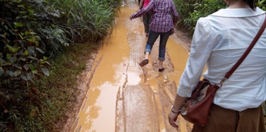 【艾肯】艾肯企業野奢農莊集體出游活動圓滿舉辦