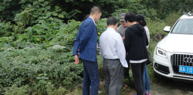 【湖北】洪湖生態旅游風景區項目前期考察順利結束