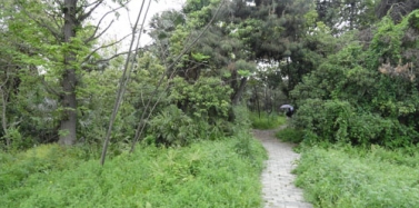 【江蘇】揚州市瓜州鎮旅游發展項目前期市場調研順利結束