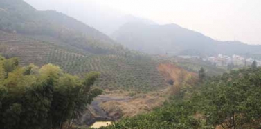 【江西】西海天堂國際旅游度假中心項目前期考察順利結(jié)束