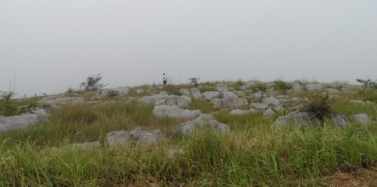 【河南】河南淅川項目總體策劃合同簽訂