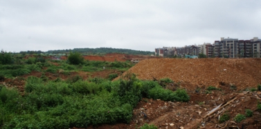 【云南】云南花腰山寨項目前期考察順利結束