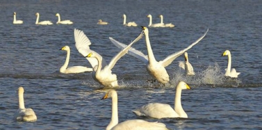 【河南】河南鄭州潮湖項目總體策劃合同簽訂及前期考察順利結(jié)束