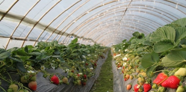 【山東】山東青島藏馬山項目中期匯報順利結束