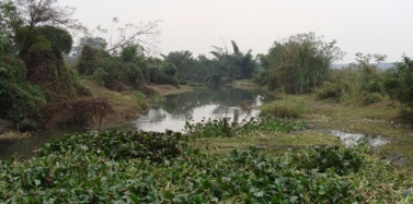 【四川】成都浪度家具創(chuàng)意產(chǎn)業(yè)園項(xiàng)目前期市場(chǎng)調(diào)研順利結(jié)束