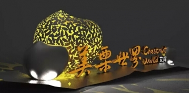 【山東】歡迎深圳考察團到美栗世界考察洽談投資項目