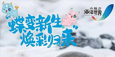 【廣東】蝶變新生，艾肯項目小梅沙海洋世界十一煥新啟幕